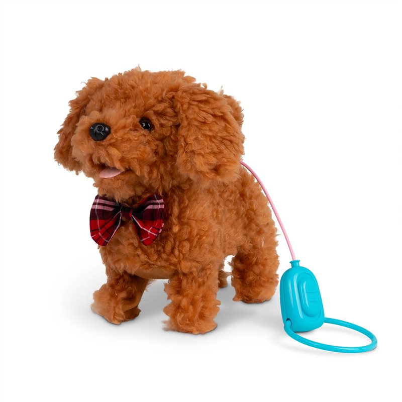 Curly Cockapoo Gående Hund med Lyd