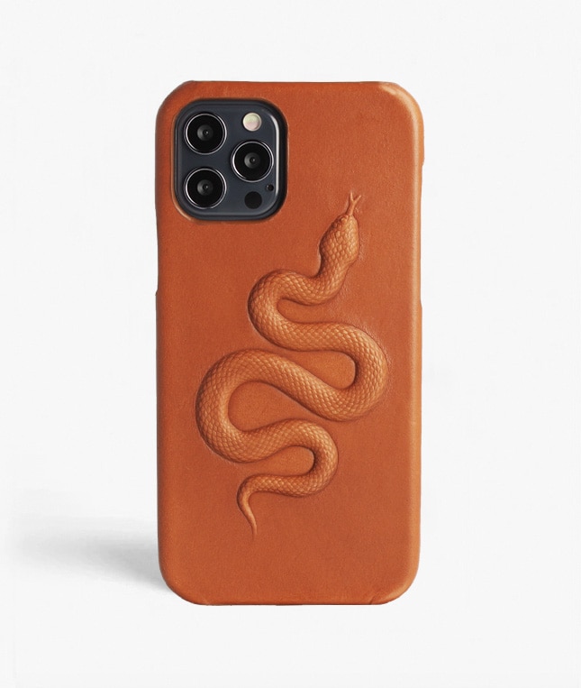 iPhone 12/iPhone 12 Pro Deksel Snake Brun